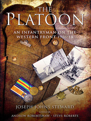 The Platoon - ebook
